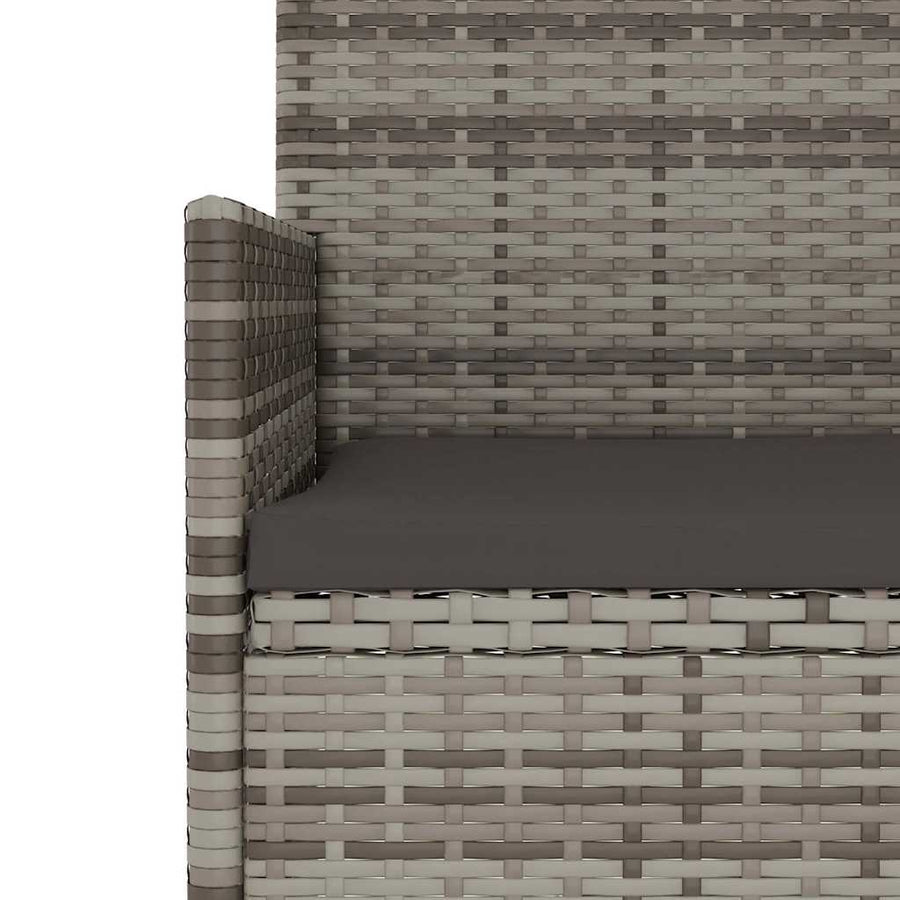 Tuinbank 2-Zits Met Kussens Poly Rattan Grijs