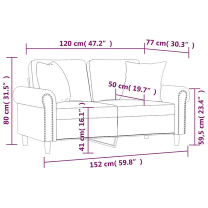 Tweezitsbank Met Kussens 120 Cm Fluweel Lichtgrijs 152 x 77 x 80 cm
