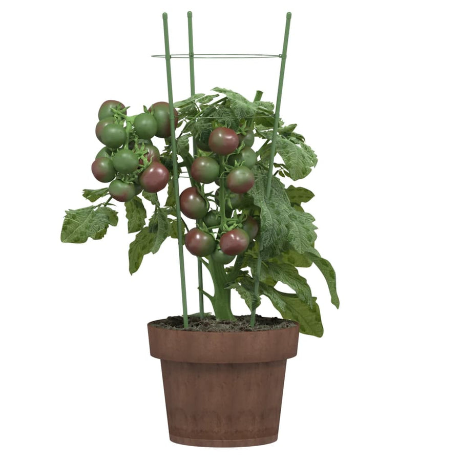 Plantensteunen 5 st met 3 ringen 45 cm staal groen 18 x 45 cm