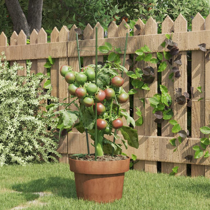 Plantensteunen 5 st met 3 ringen 45 cm staal groen 18 x 45 cm