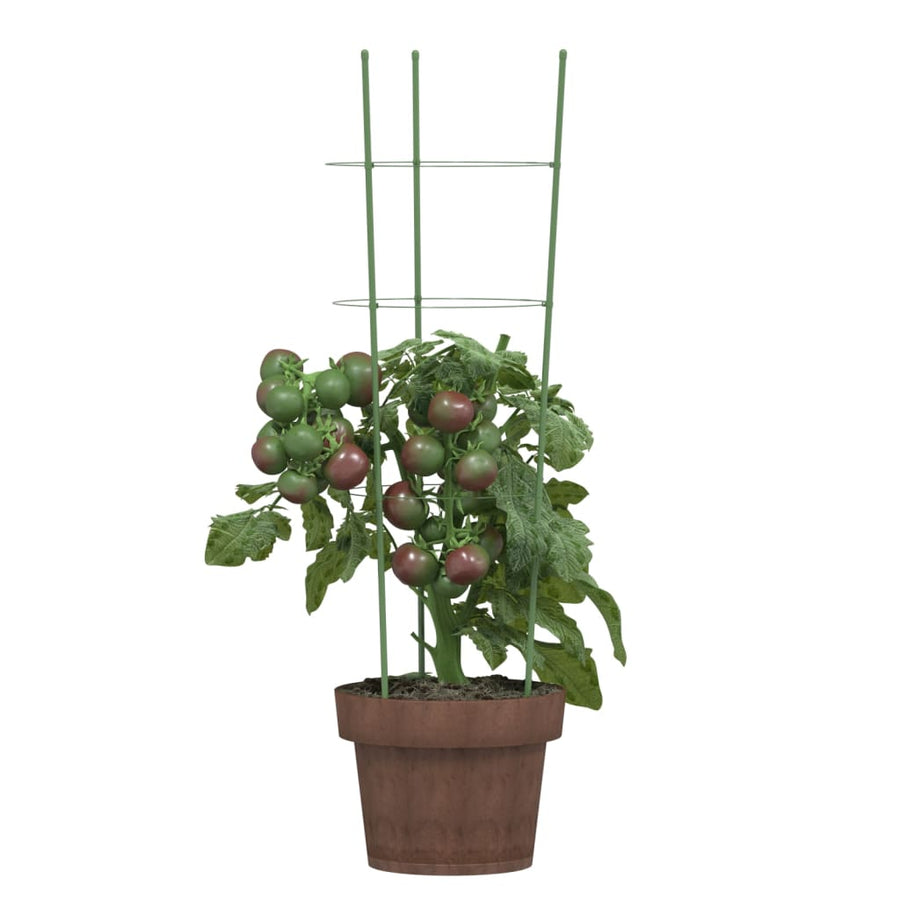 Plantensteunen Met 3 Ringen 60 Cm Staal Groen 21.5 x 60 cm