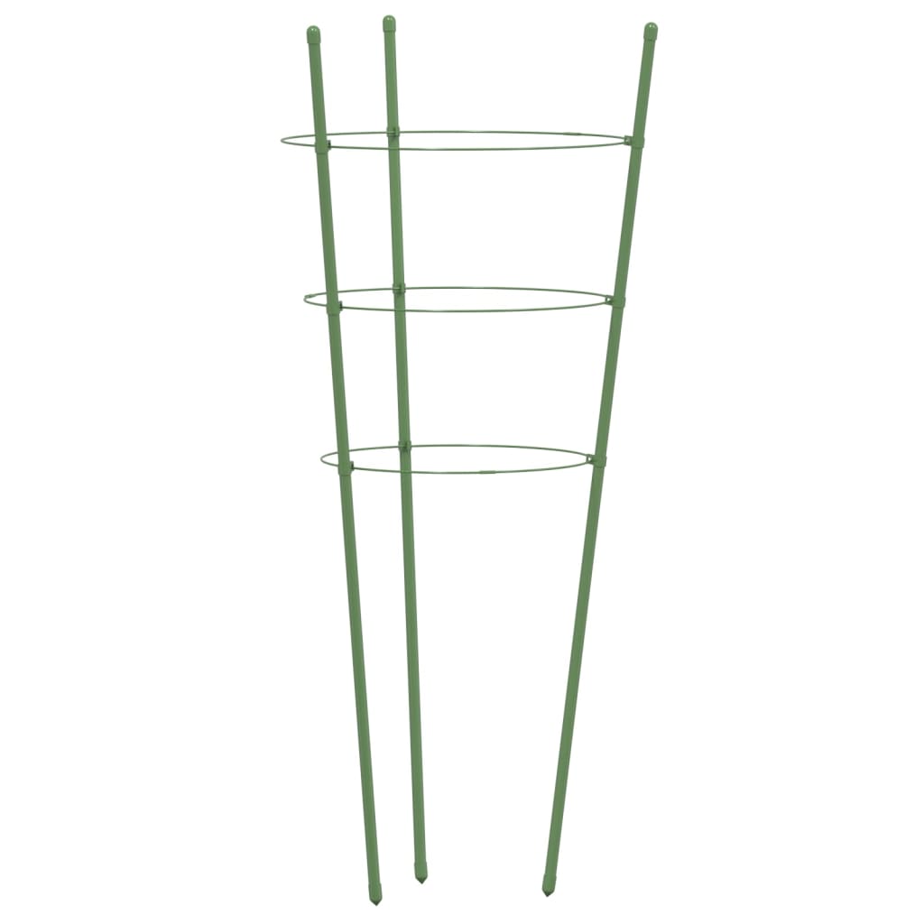 Plantensteunen Met 3 Ringen 60 Cm Staal Groen 21.5 x 60 cm