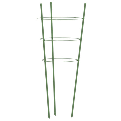Plantensteunen Met 3 Ringen 60 Cm Staal Groen 21.5 x 60 cm