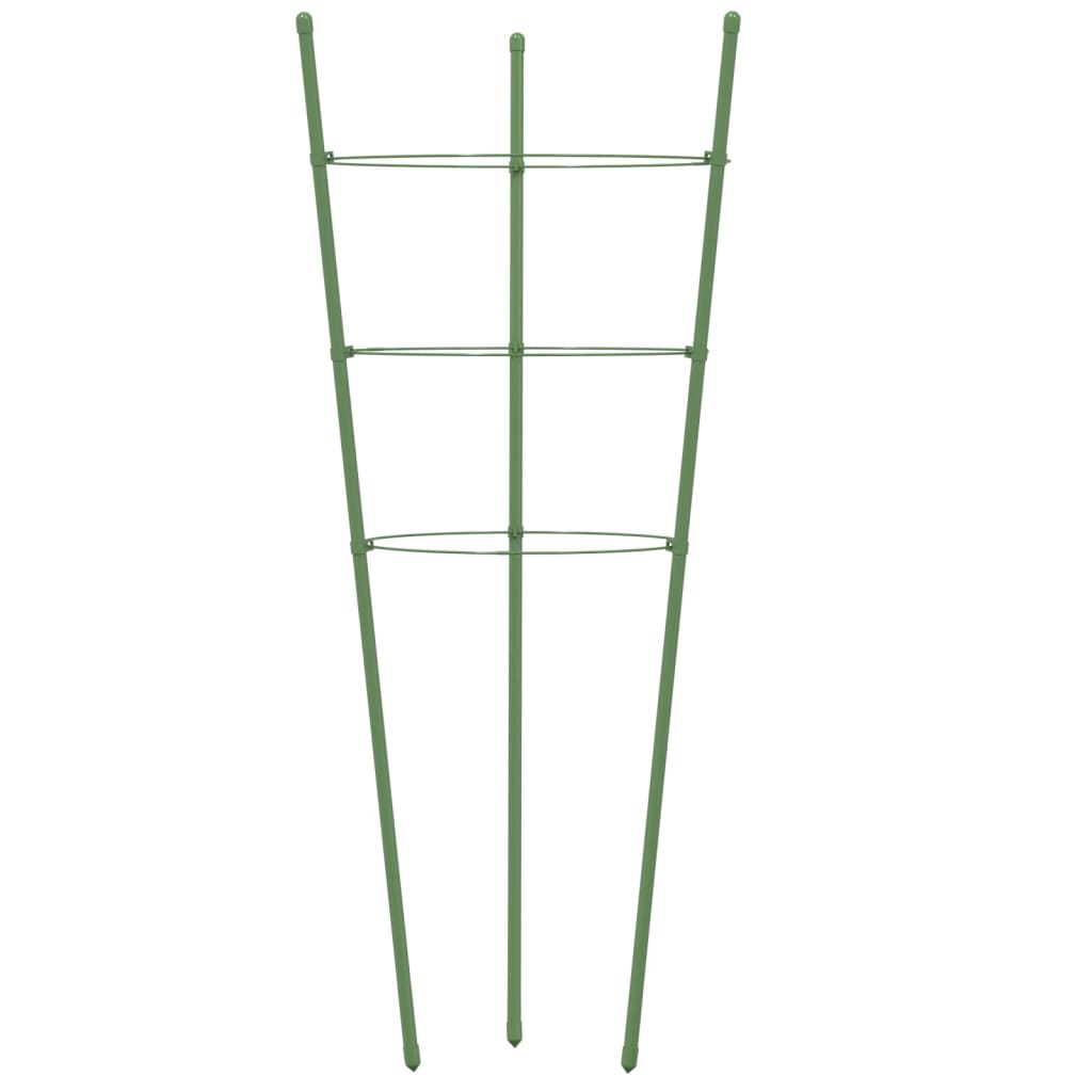 Plantensteunen Met 3 Ringen 60 Cm Staal Groen 21.5 x 60 cm