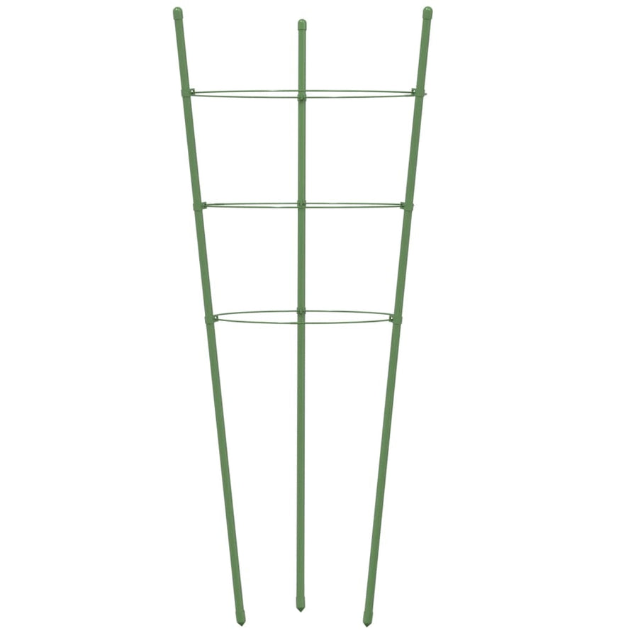 Plantensteunen Met 3 Ringen 60 Cm Staal Groen 21.5 x 60 cm