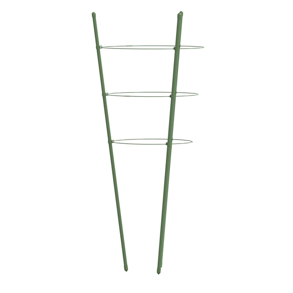 Plantensteunen Met 3 Ringen 60 Cm Staal Groen 21.5 x 60 cm