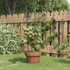 Plant supports 5 pcs with 3 rings 60 cm steel green