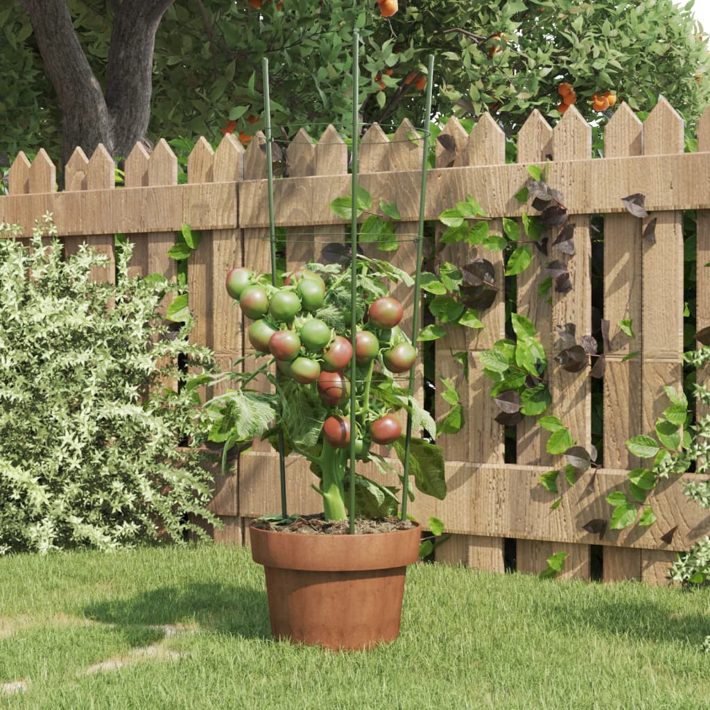 Plantensteunen Met 3 Ringen 60 Cm Staal Groen 21.5 x 60 cm