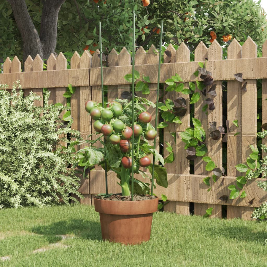 Plantensteunen Met 3 Ringen 60 Cm Staal Groen 21.5 x 60 cm