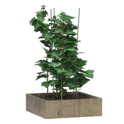 Plantensteunen 5 st met 3 ringen 75 cm staal groen 28 x 75 cm