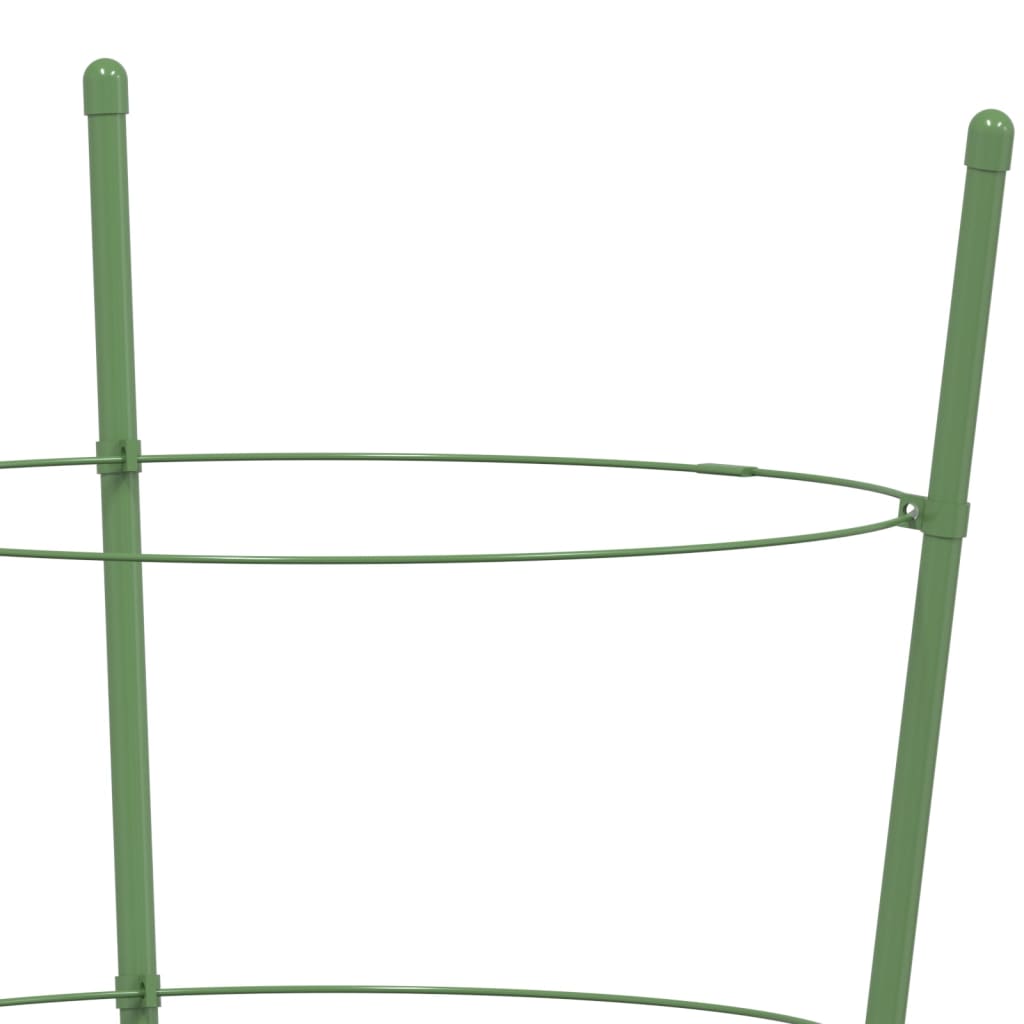 Plantensteunen 5 st met 3 ringen 75 cm staal groen 28 x 75 cm