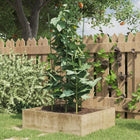 Plant supports 5 pcs with 3 rings 75 cm steel green