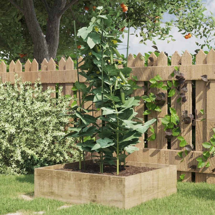 Plantensteunen 5 st met 3 ringen 75 cm staal groen 28 x 75 cm