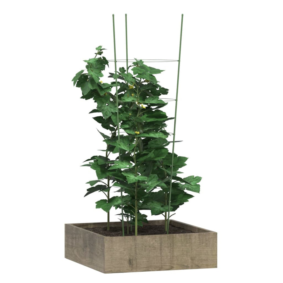 Plantensteunen 5 st met 4 ringen 90 cm staal groen 30 x 90 cm