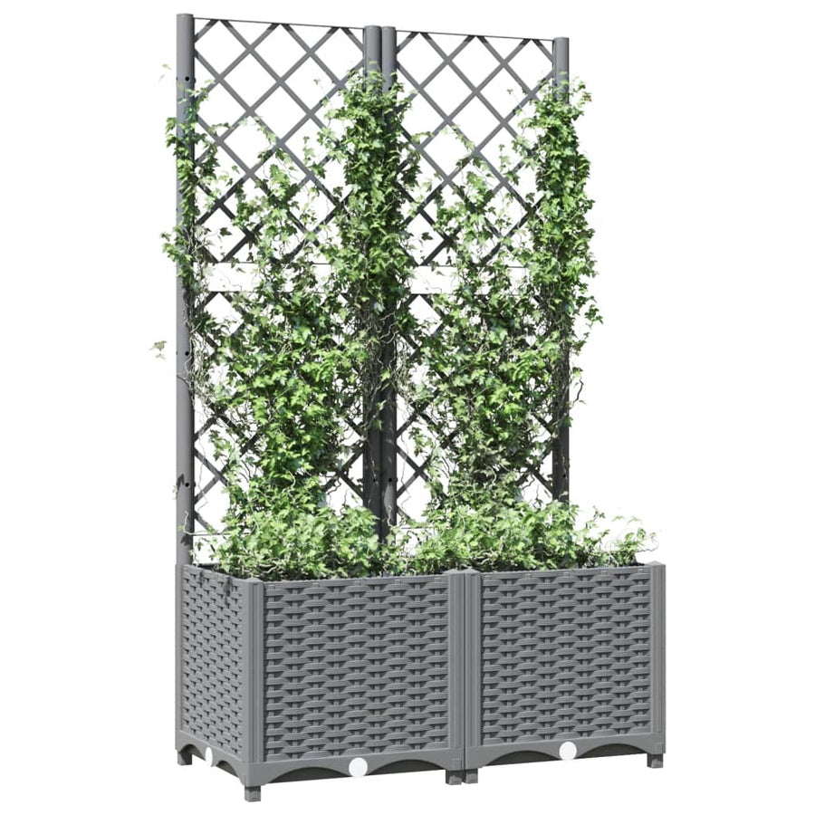 Plantenbak Met Latwerk Polypropeen 80 x 40 x 136 cm Lichtgrijs