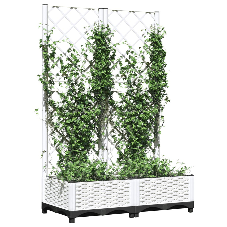 Plantenbak Met Latwerk 80X40X2,5 Cm Polypropeen 80 x 40 x 121.5 cm Wit