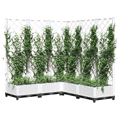 Plantenbak Met Latwerk 20X20X2,5 Cm Polypropeen 120 x 120 x 121.5 cm Wit