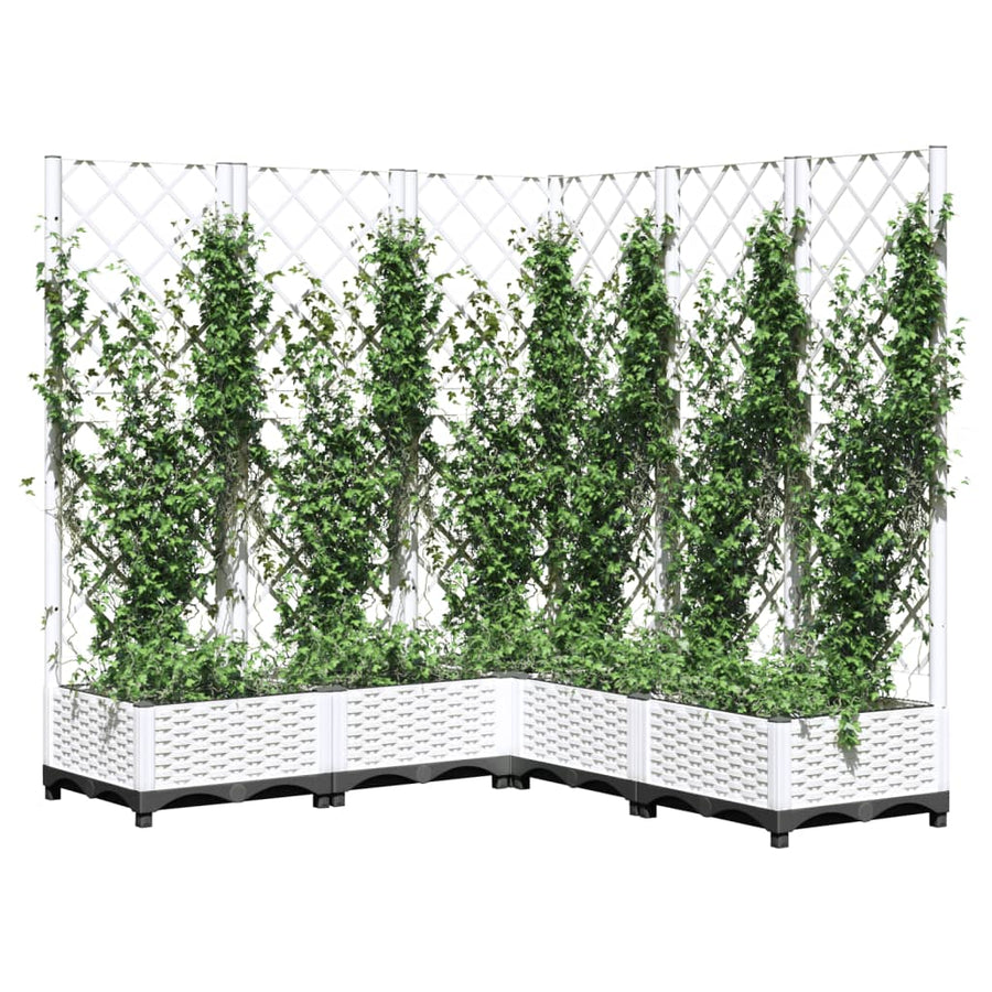 Plantenbak Met Latwerk 20X20X2,5 Cm Polypropeen 120 x 120 x 121.5 cm Wit