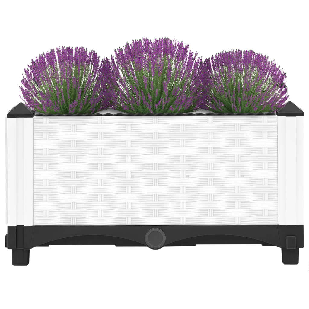 Plantenbak Verhoogd Polypropeen 40 x 40 x 23 cm Wit