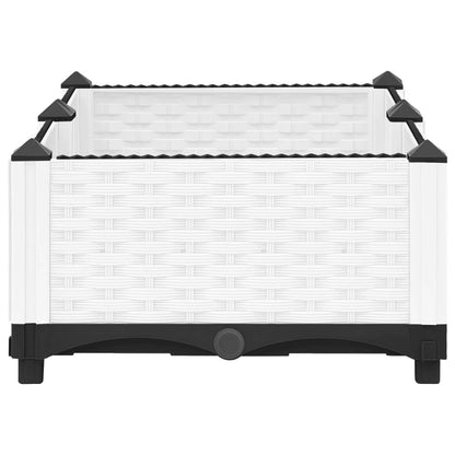 Plantenbak Verhoogd Polypropeen 80 x 40 x 23 cm Wit