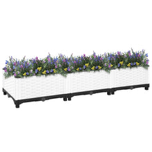 Plantenbak Verhoogd Polypropeen 120 x 40 x 23 cm Wit