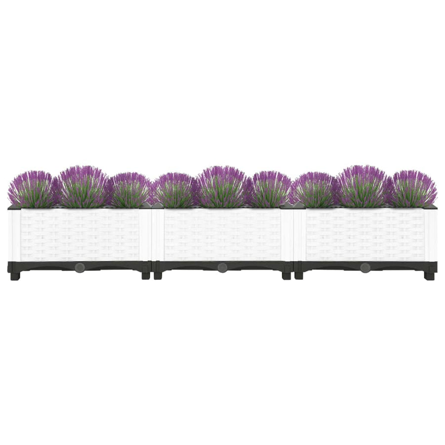 Plantenbak Verhoogd Polypropeen 120 x 40 x 23 cm Wit