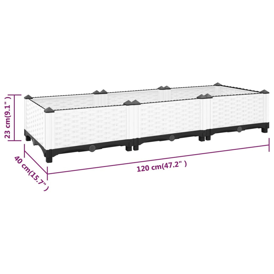 Plantenbak Verhoogd Polypropeen 120 x 40 x 23 cm Wit