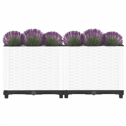 Plantenbak Verhoogd Polypropeen 80 x 40 x 38 cm Wit