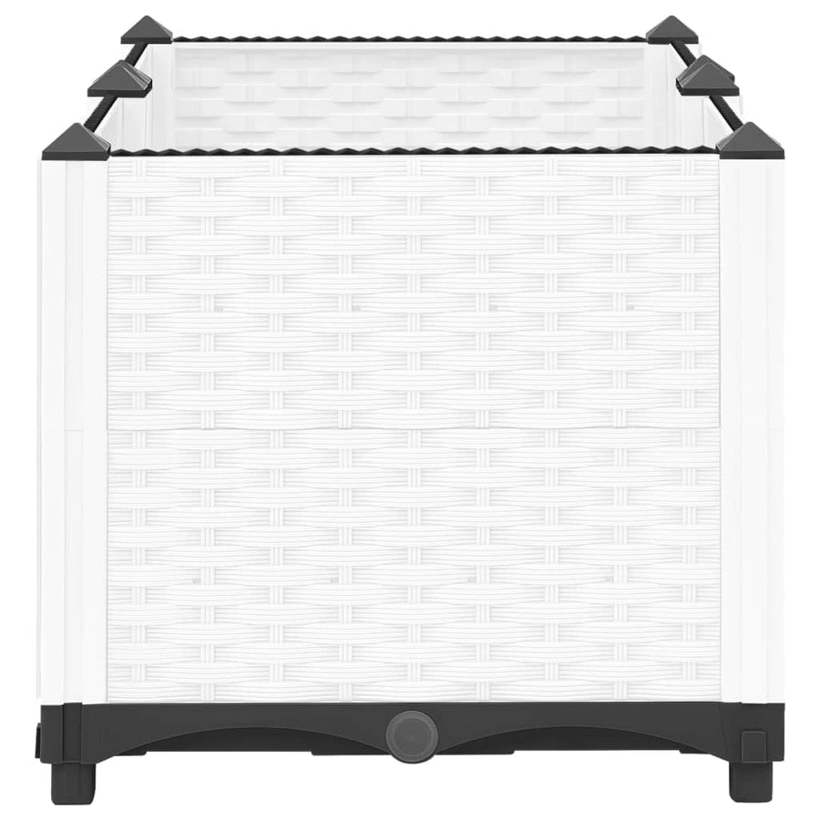 Plantenbak Verhoogd Polypropeen 80 x 40 x 38 cm Wit
