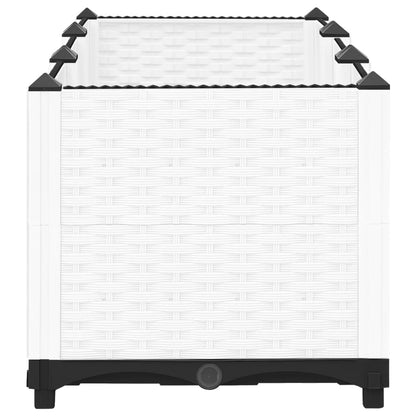 Plantenbak Verhoogd Polypropeen 120 x 40 x 38 cm Wit