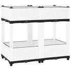 Raised planter 80x40x71 cm polypropylene