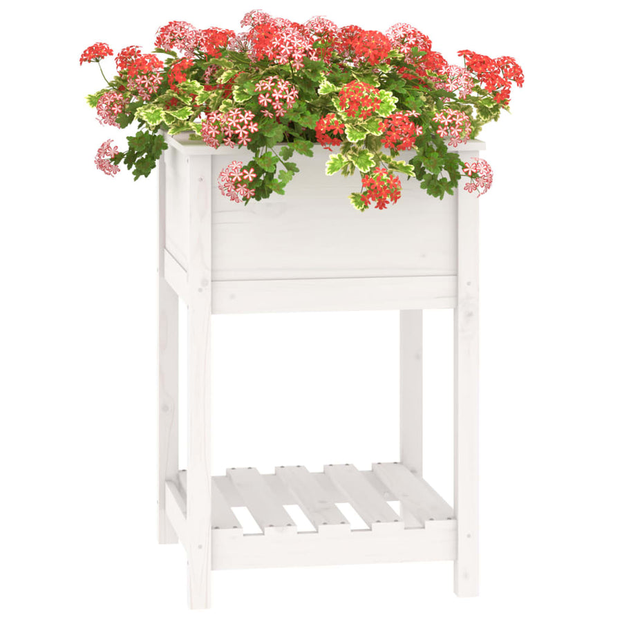 Plantenbak Met Schap 54X54X81 Cm Massief Grenenhout Wit