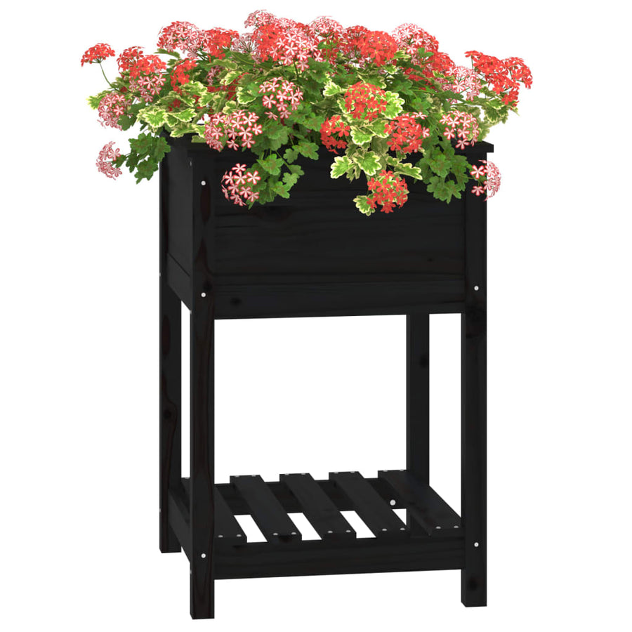 Plantenbak Met Schap 54X54X81 Cm Massief Grenenhout Zwart