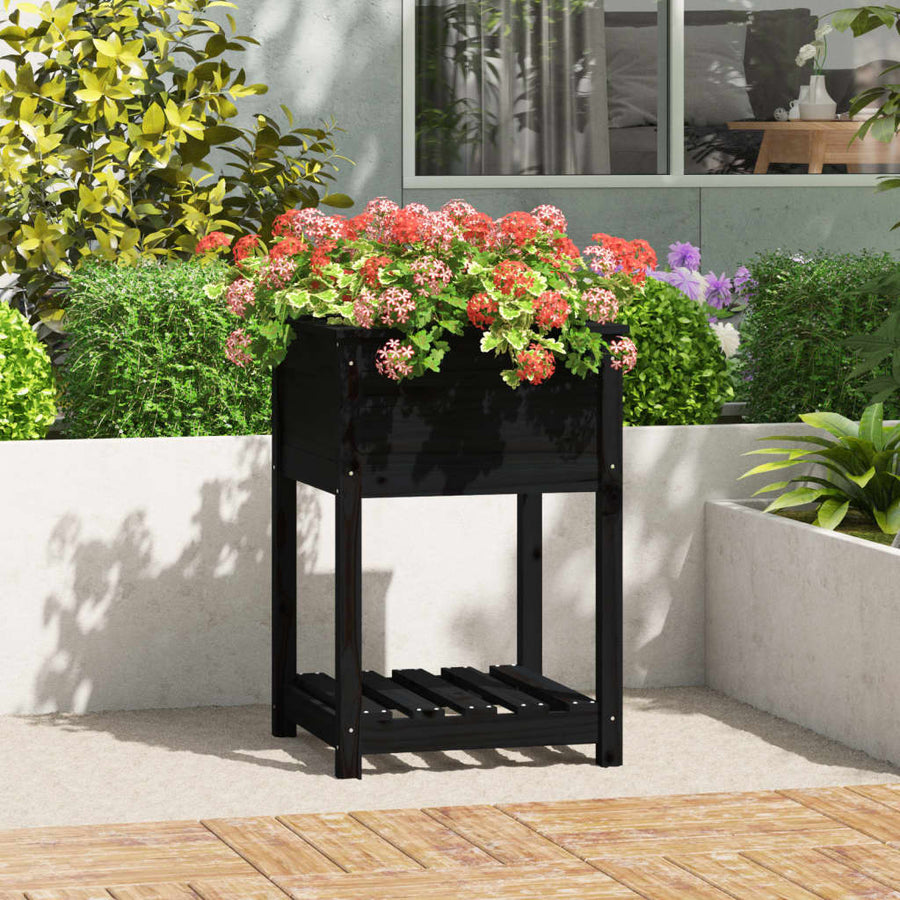 Plantenbak Met Schap 54X54X81 Cm Massief Grenenhout Zwart