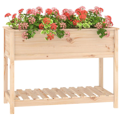 Plantenbak Met Schap 111,5X54X81 Cm Massief Grenenhout