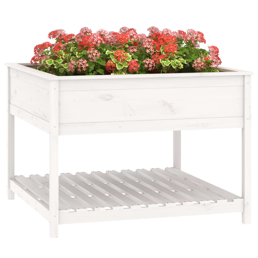 Plantenbak Met Schap 111,5X111,5X81 Cm Massief Grenenhout Wit