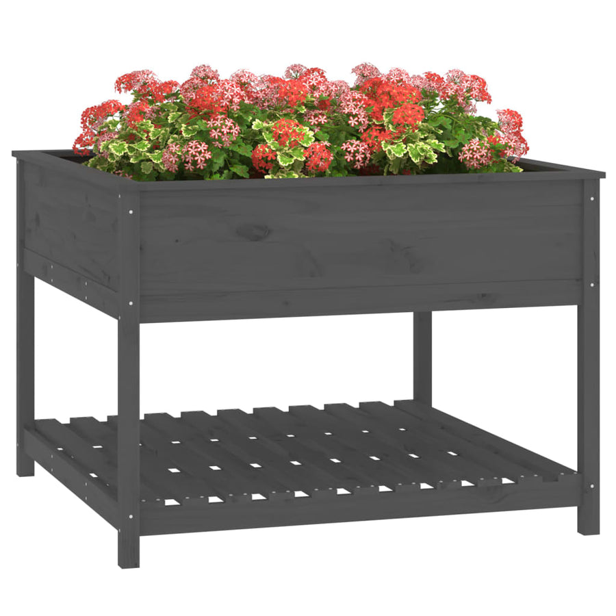 Plantenbak Met Schap 111,5X111,5X81 Cm Massief Grenenhout Grijs
