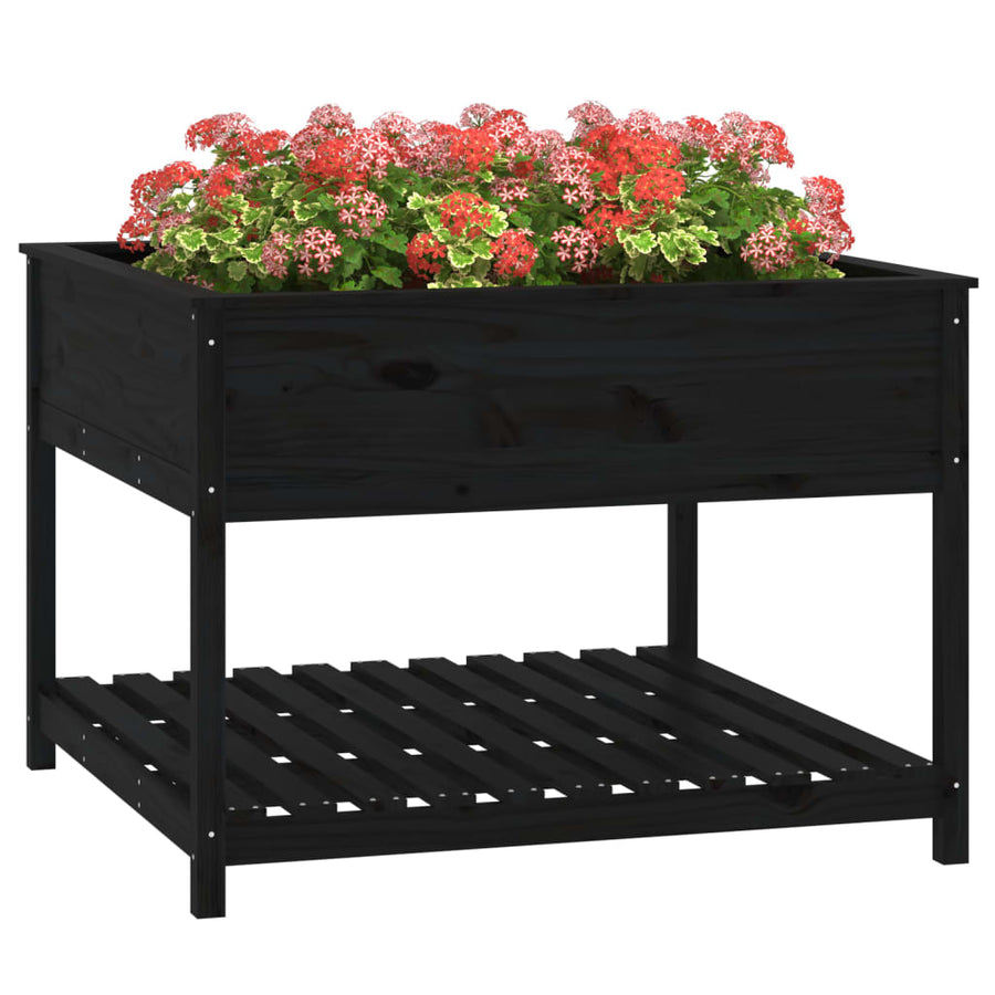 Plantenbak Met Schap 111,5X111,5X81 Cm Massief Grenenhout Zwart