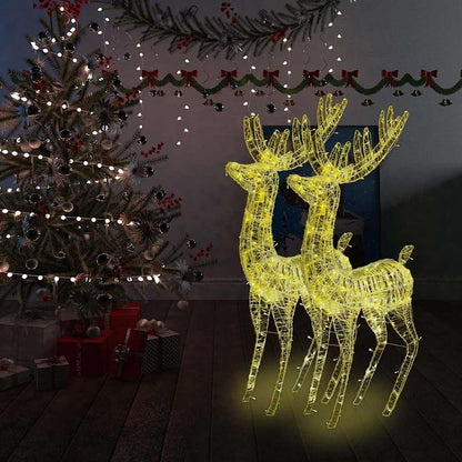 Kerstdecoratie rendier XXL 2 st 250 LED's warmwit 180 cm acryl