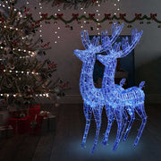 Kerstdecoratie rendier XXL 2 st 250 LED blauw 180 cm acryl