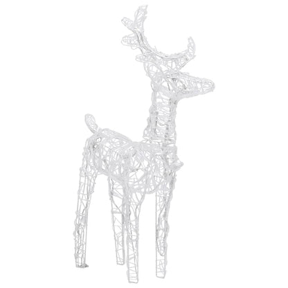 Kerstrendieren 4 St 160 Led's Acryl Koudwit