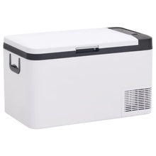 Koelbox Met Handvat 18 L Pp & Pe Zwart En Wit