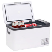 Koelbox Met Handvat 18 L Pp & Pe Zwart En Wit