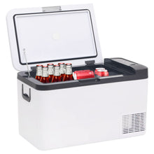 Koelbox Met Handvat Pp & Pe Zwart En Wit 25 l zonder adapter