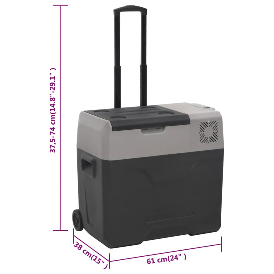 Koelbox Met Wielen En Handvat 30 L Polypropeen Zwart En Grijs