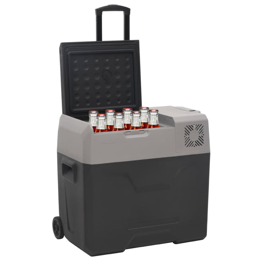 Koelbox Met Wielen En Handvat 40 L Polypropeen Zwart En Grijs