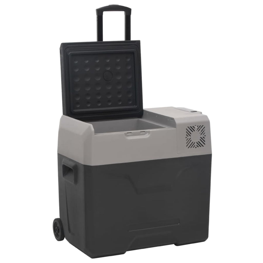 Koelbox Met Wielen En Handvat 40 L Polypropeen Zwart En Grijs