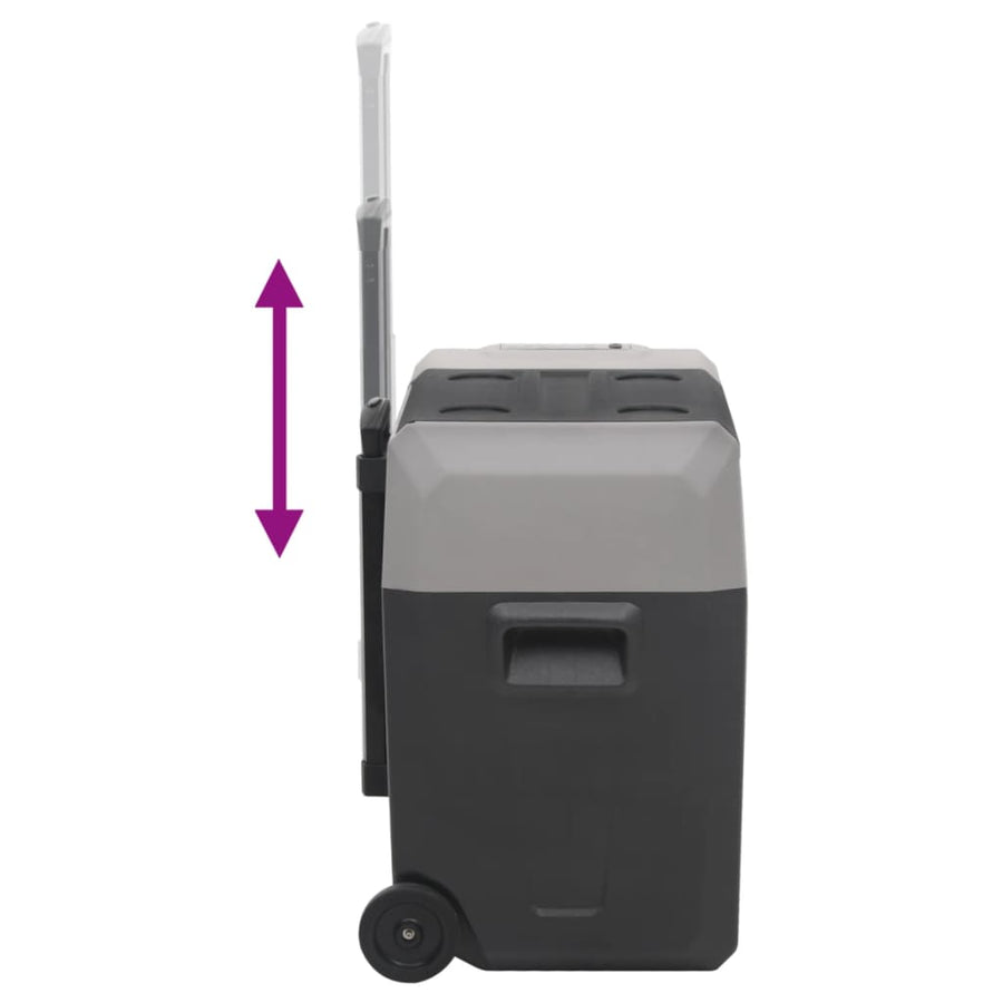Koelbox Met Wielen En Handvat 40 L Polypropeen Zwart En Grijs