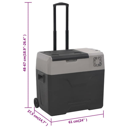 Koelbox Met Wielen En Handvat 40 L Polypropeen Zwart En Grijs