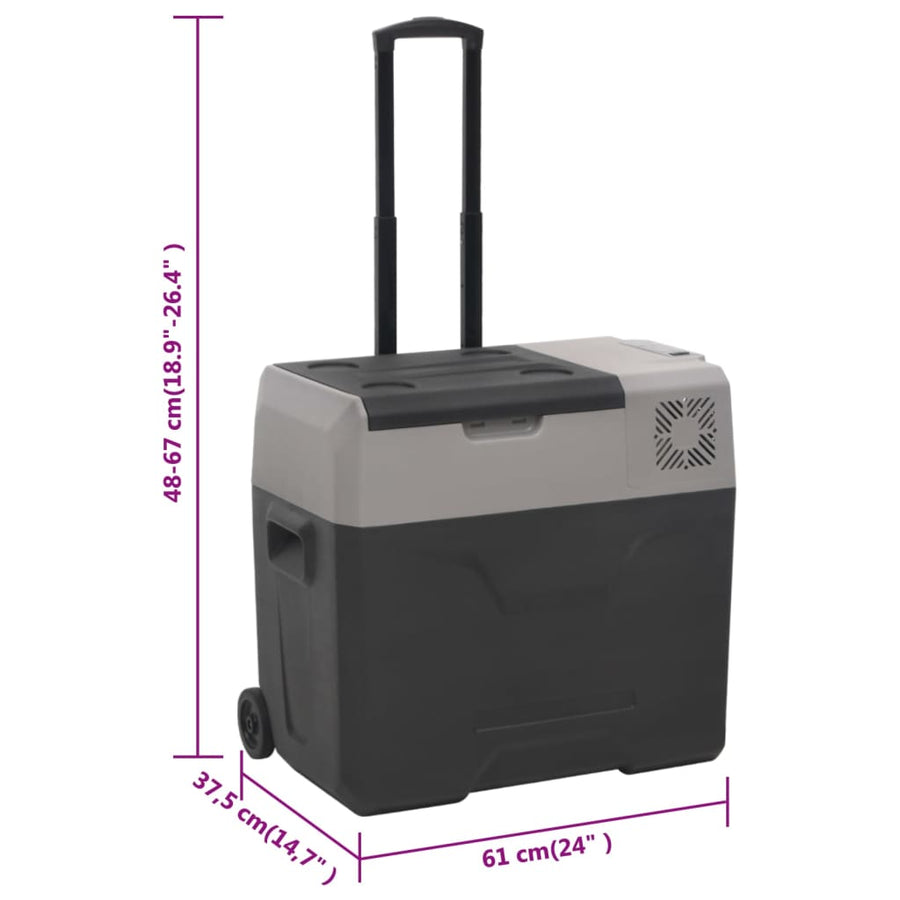 Koelbox Met Wielen En Handvat 40 L Polypropeen Zwart En Grijs